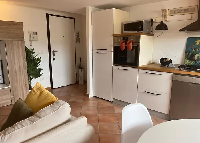 Sotto Il Tetto Con I Gatti